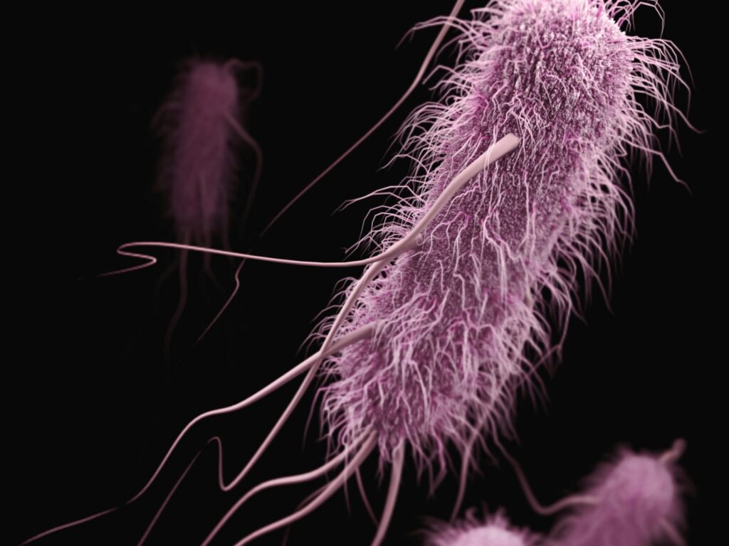 Le modèle Stanford Evo 2 AI génère des phages contre E. coli